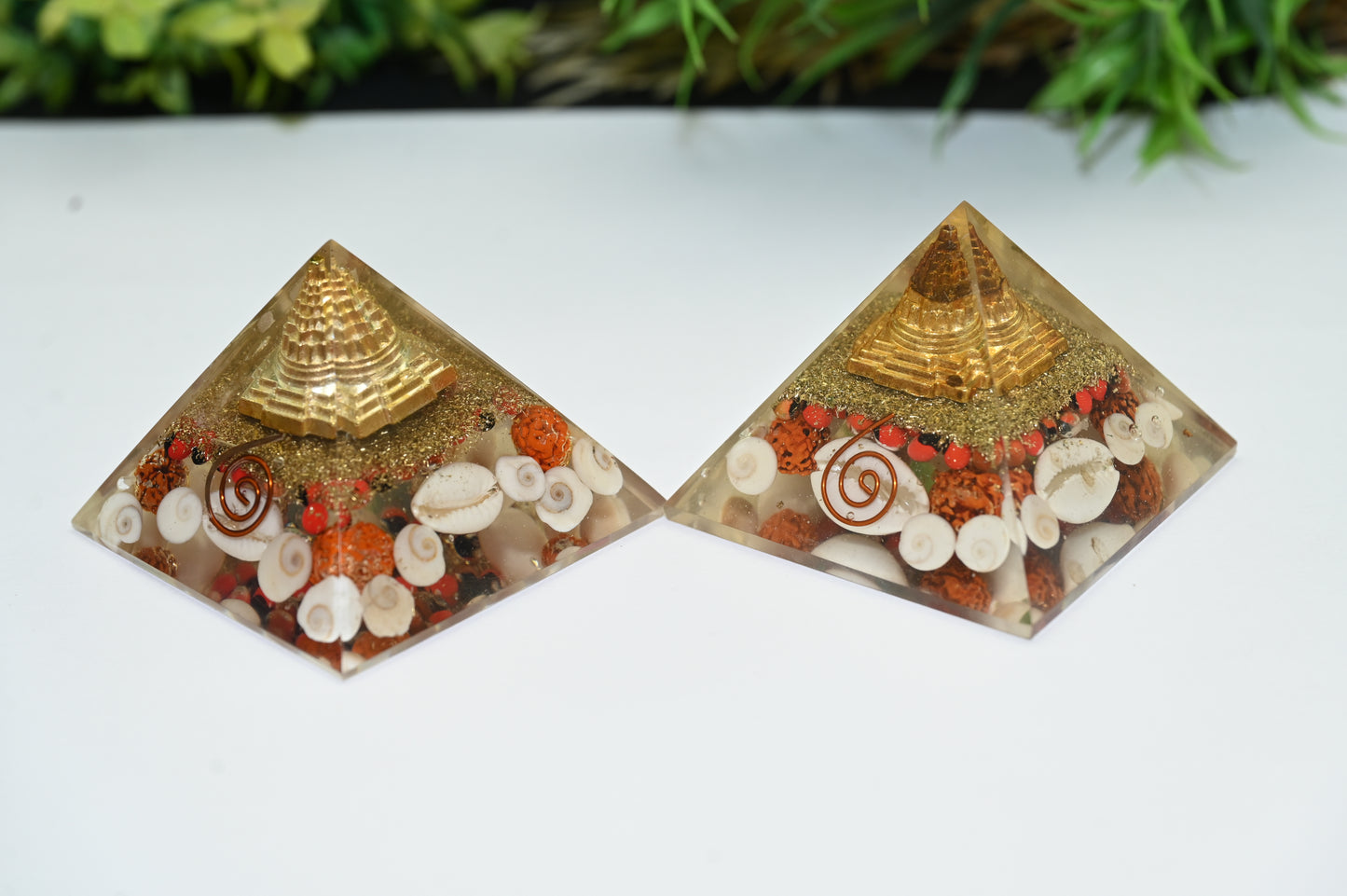 Dhan Laxmi Pyramid - Shree Yantra Gomti Chakra