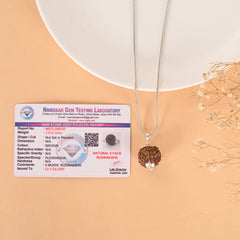 5 Mukhi Rudraksha