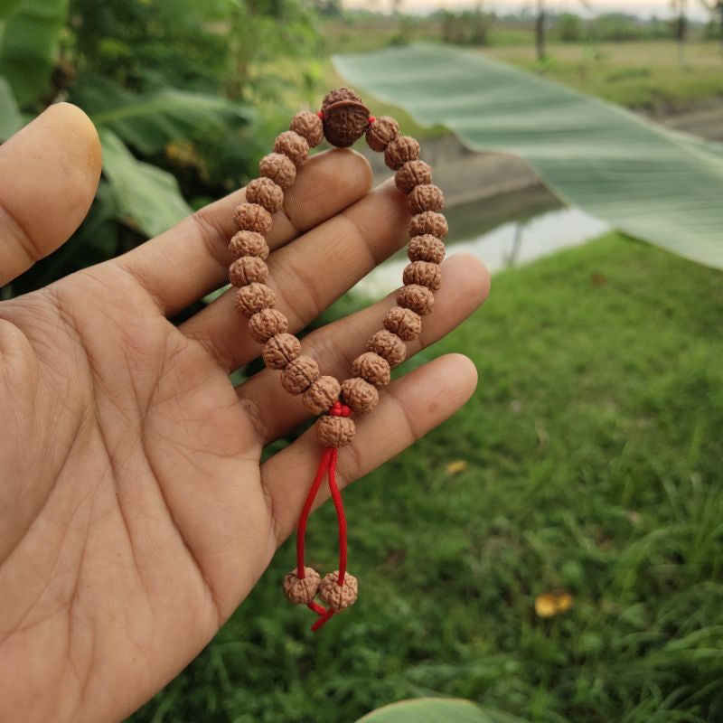 Rudraksha