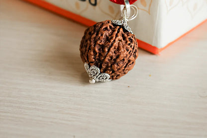 7 Mukhi Premium Rudraksha with Lab certification