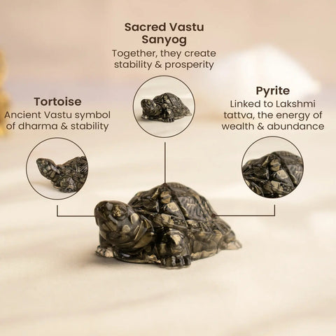 Pyrite Tortoise (Kachhua) for Money, Protection & Vastu with lab certificate