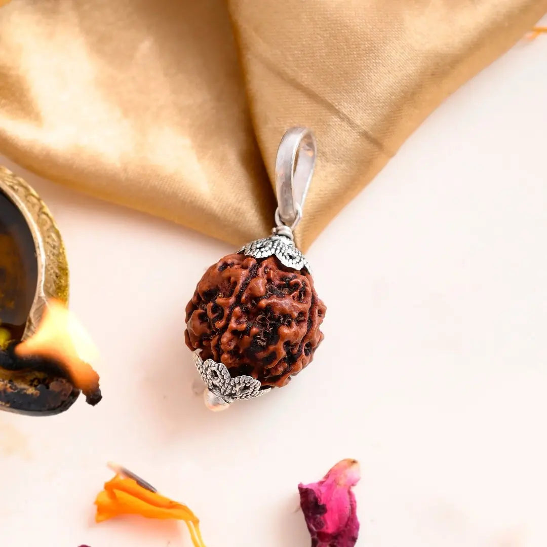 5 mukhi rudraksha + 7 mukhi rudraksha combo