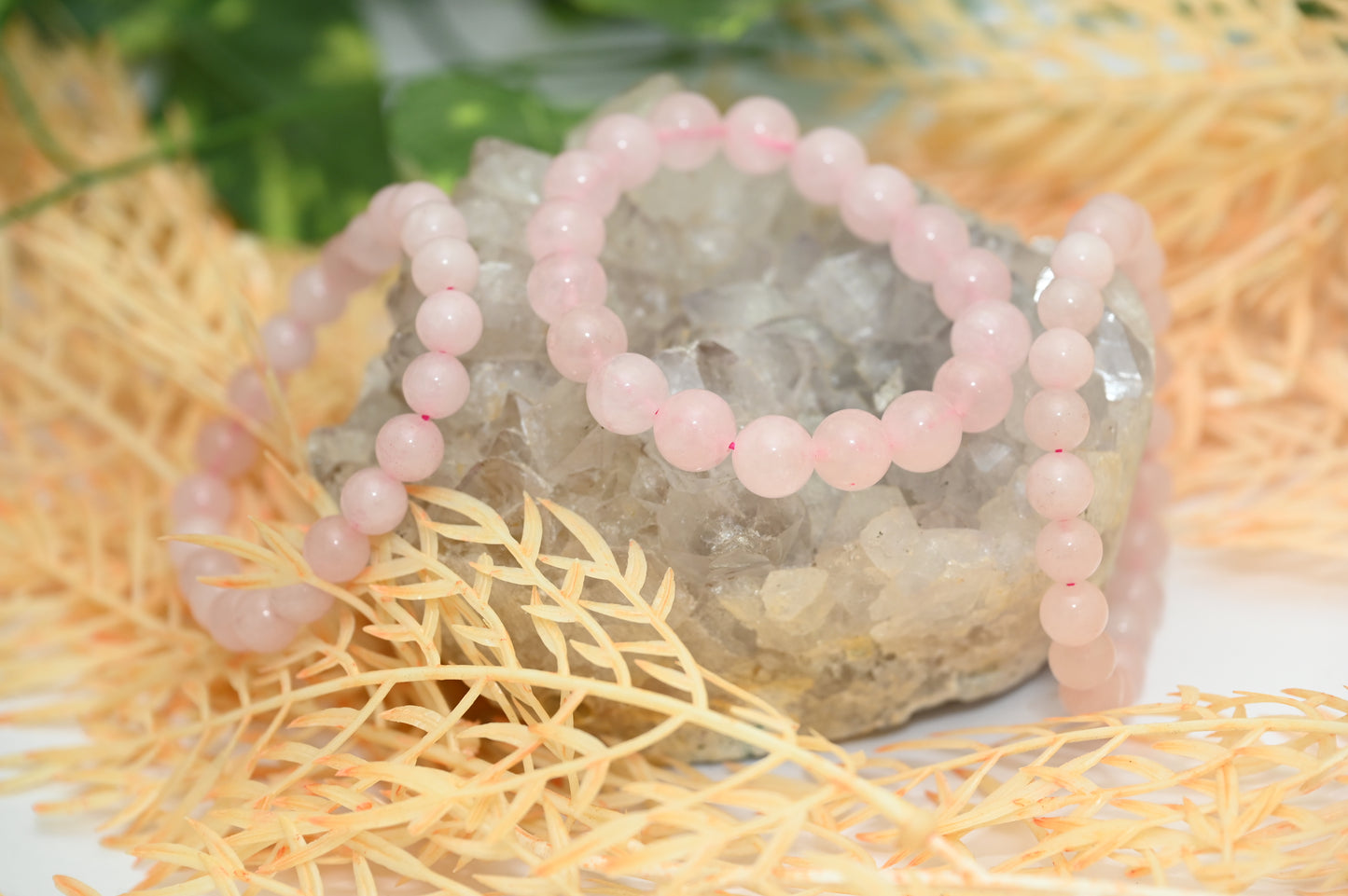 Rose Quartz Bracelet (AAA Quality)