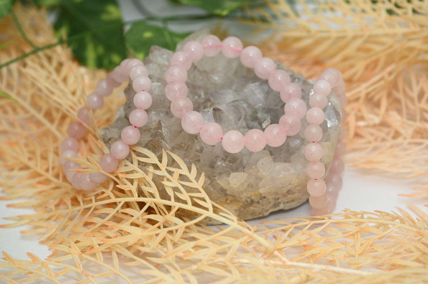 Rose Quartz Bracelet (AAA Quality)