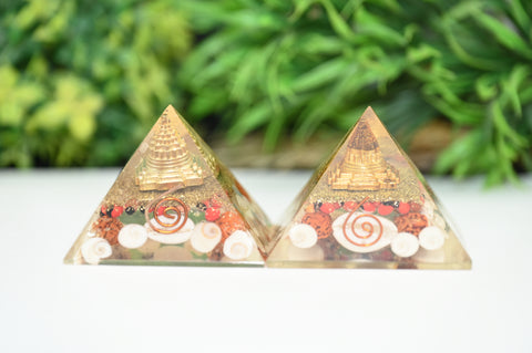 Dhan Laxmi Pyramid - Shree Yantra Gomti Chakra