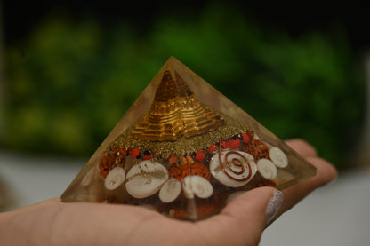Dhan Laxmi Pyramid - Shree Yantra Gomti Chakra