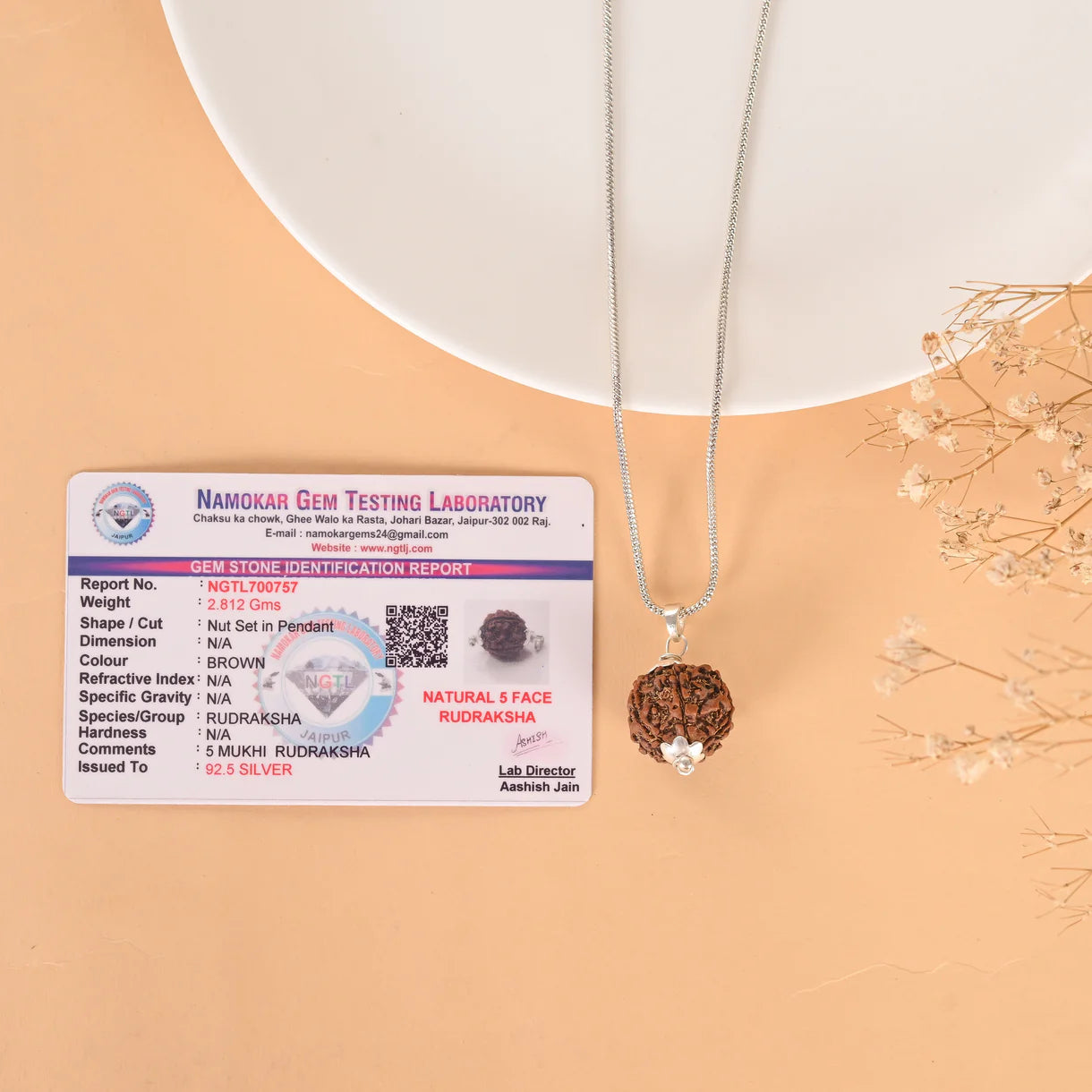 5 Mukhi Rudraksha