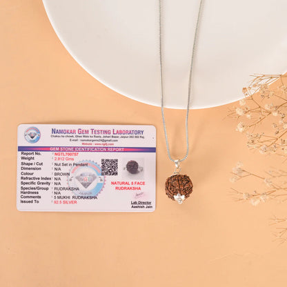 5 Mukhi Rudraksha